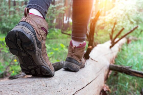 Discovering the Outdoors: The Amazing Benefits of Hiking